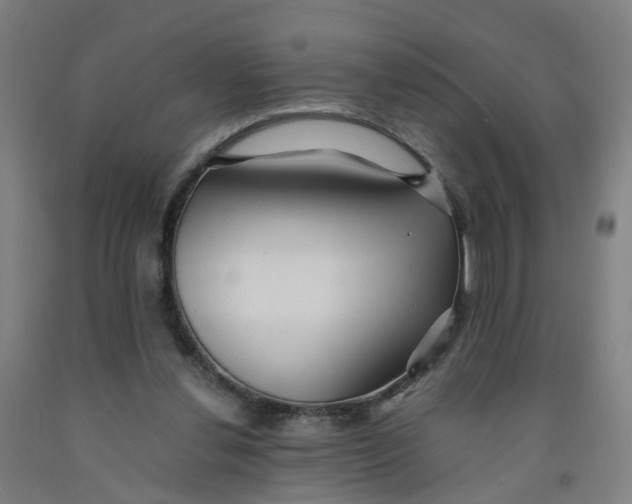 X0000091980252200709271433