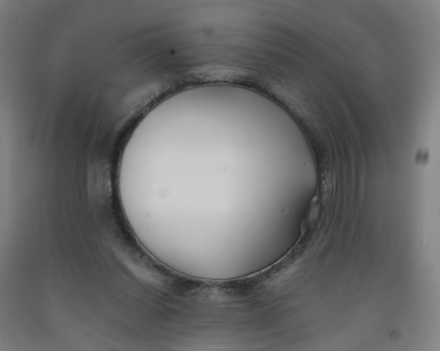 X0000091980254200709271433