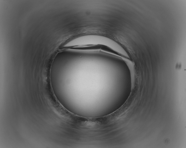 X0000091980255200709271433