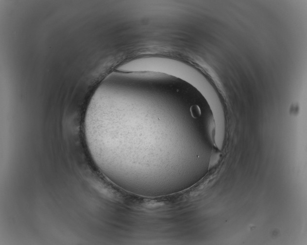 X0000091980257200709271433