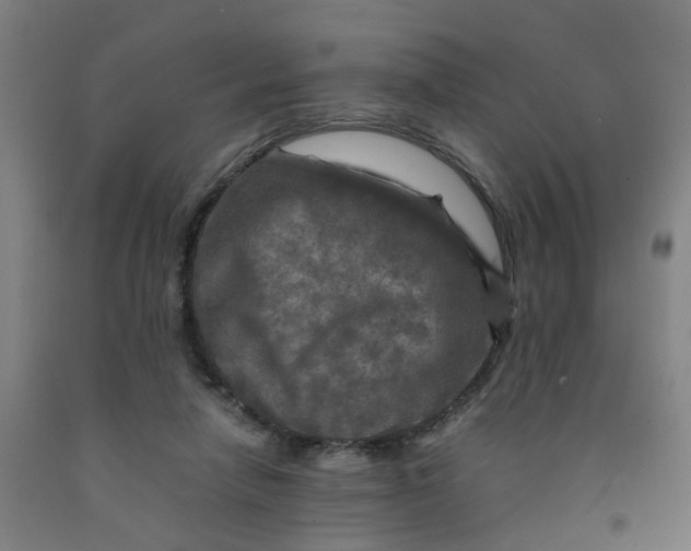 X0000091980258200709271433