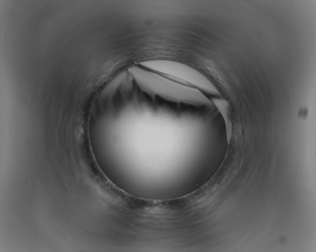 X0000091980259200709271433