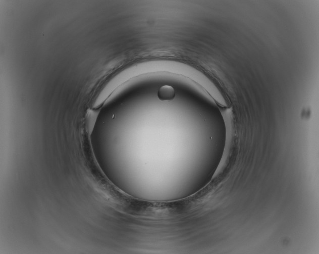 X0000091980260200709271433