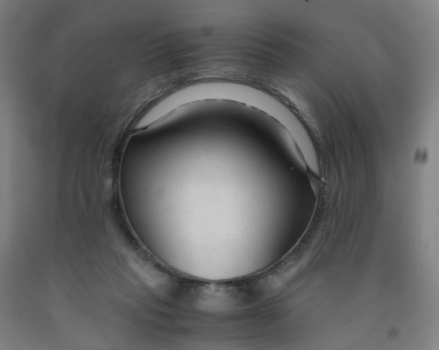 X0000091980261200709271433