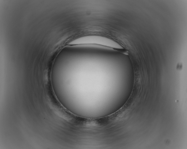X0000091980262200709271433
