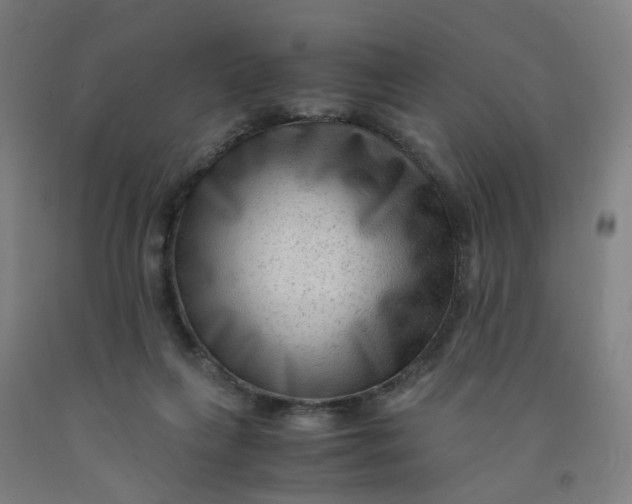 X0000091980263200709271433