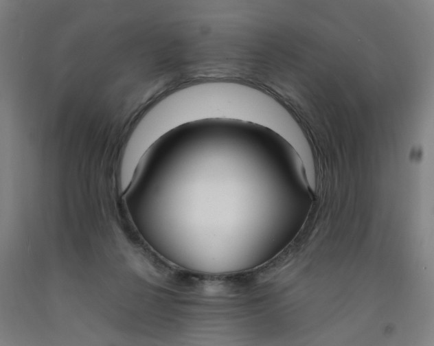 X0000091980264200709271433