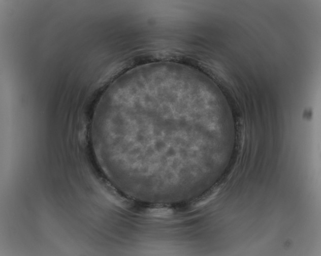 X0000091980266200709271433