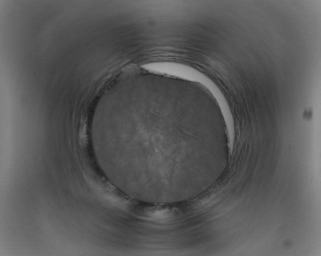 X0000091980267200709271433