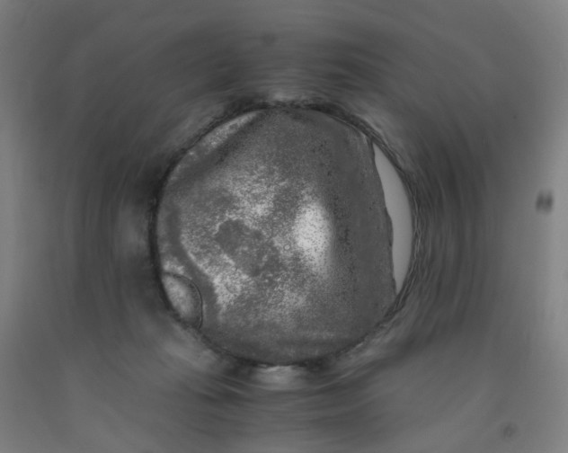 X0000091980269200709271433
