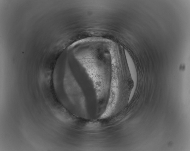 X0000091980271200709271433