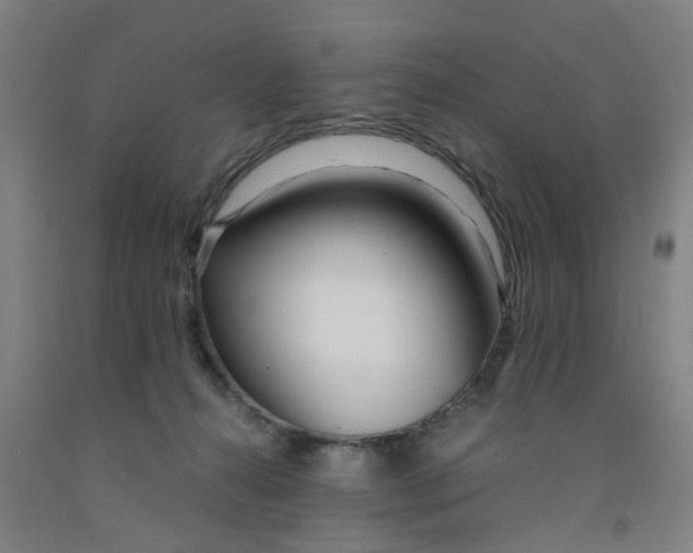 X0000091980272200709271433