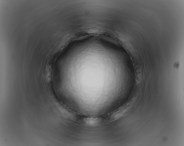 X0000091980273200709271433