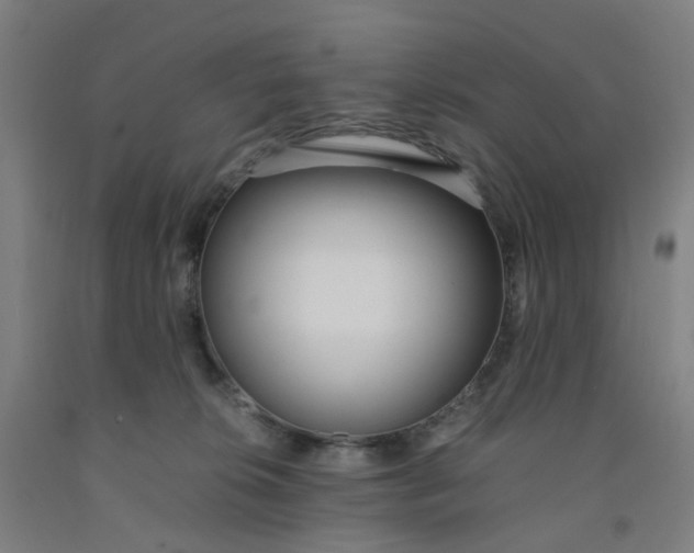 X0000091980276200709271433