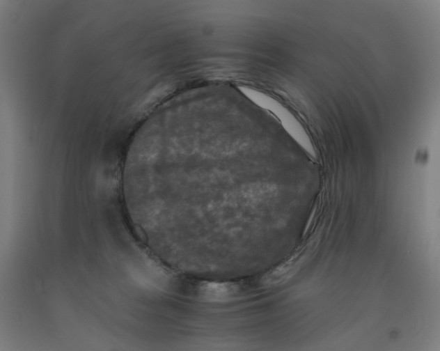 X0000091980277200709271433