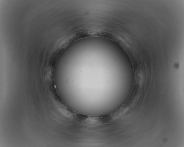 X0000091980280200709271433