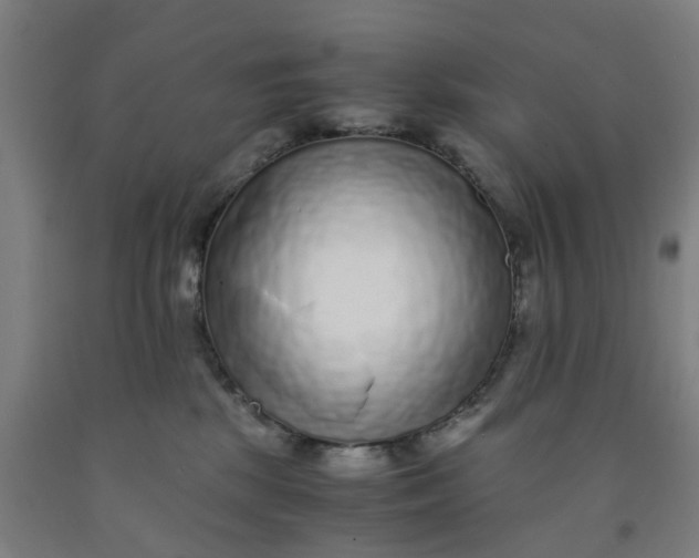 X0000091980281200709271433