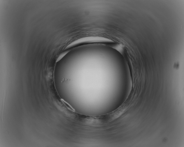 X0000091980284200709271433