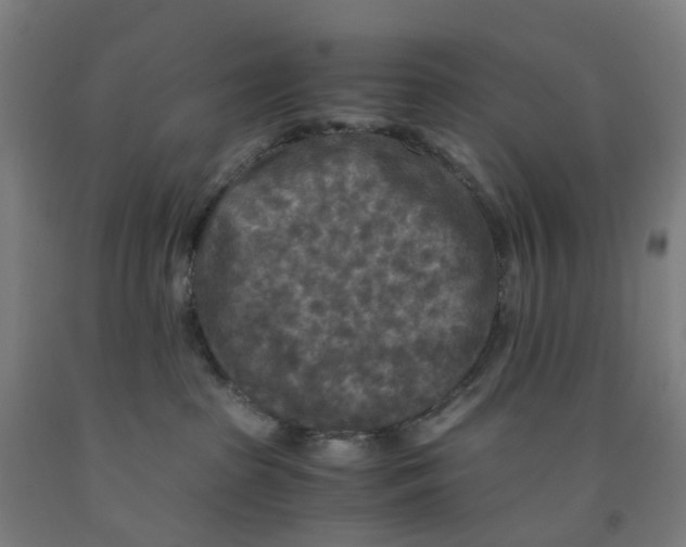 X0000091980285200709271433