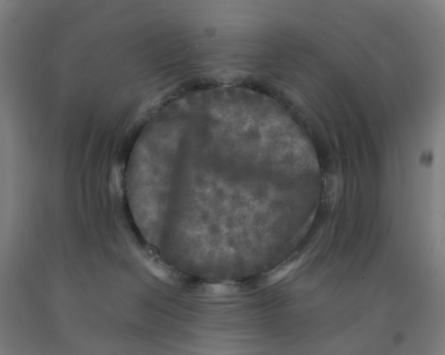 X0000091980286200709271433