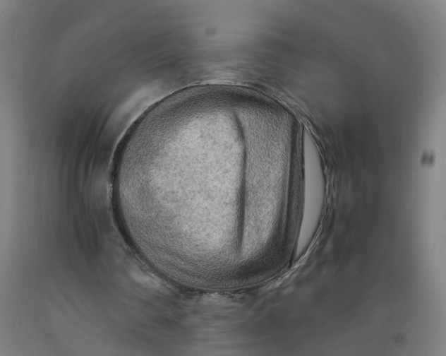 X0000091980290200709271433