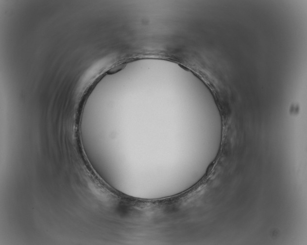 X0000091980293200709271433