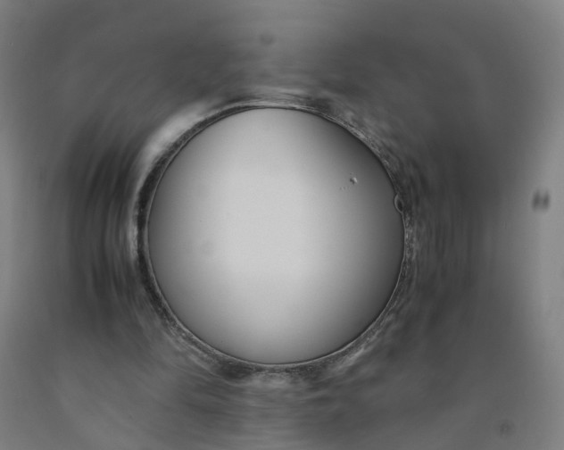 X0000091980294200709271433