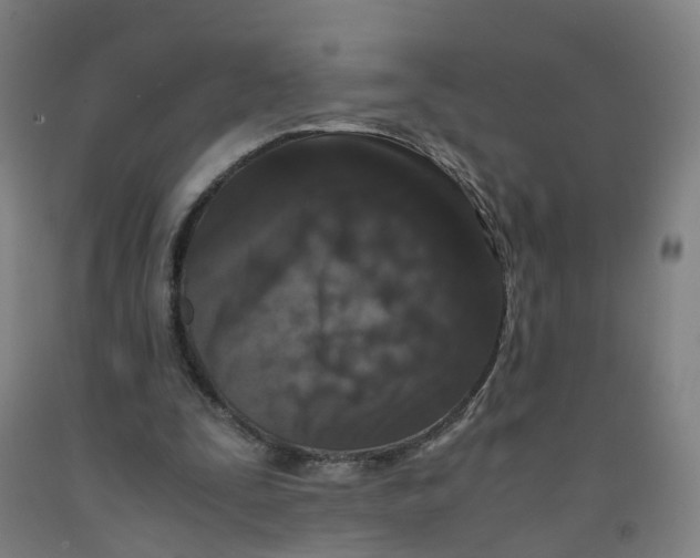 X0000091980295200709271433
