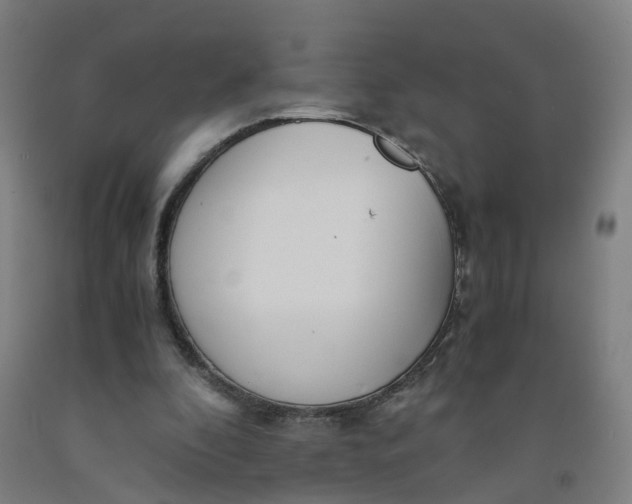 X0000091980296200709271433