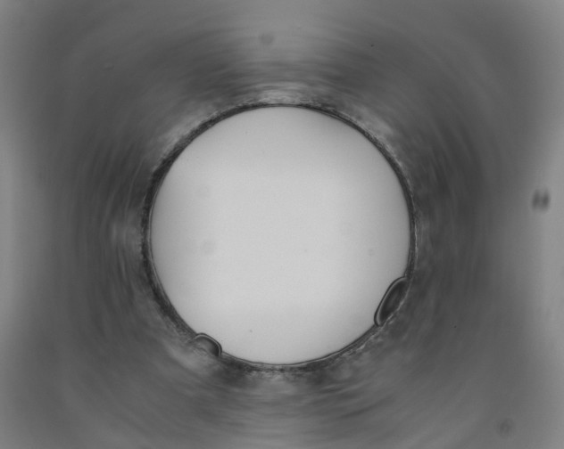 X0000091980297200709271433