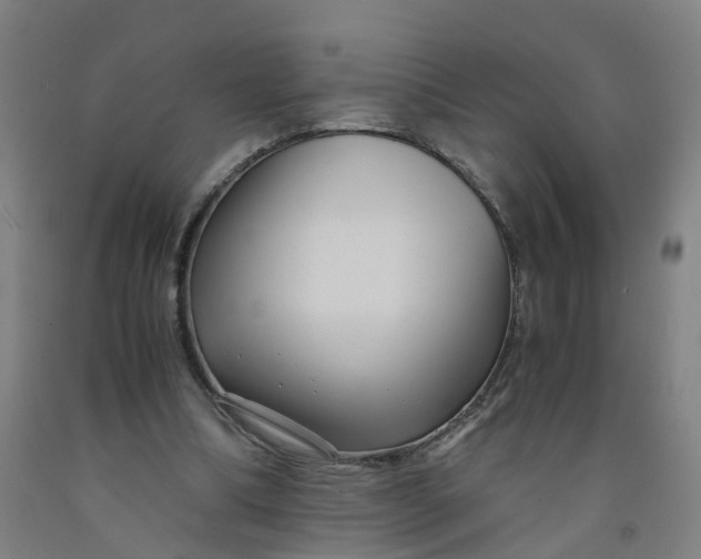 X0000091980298200709271433