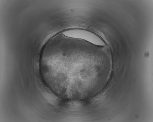 X0000091980299200709271433