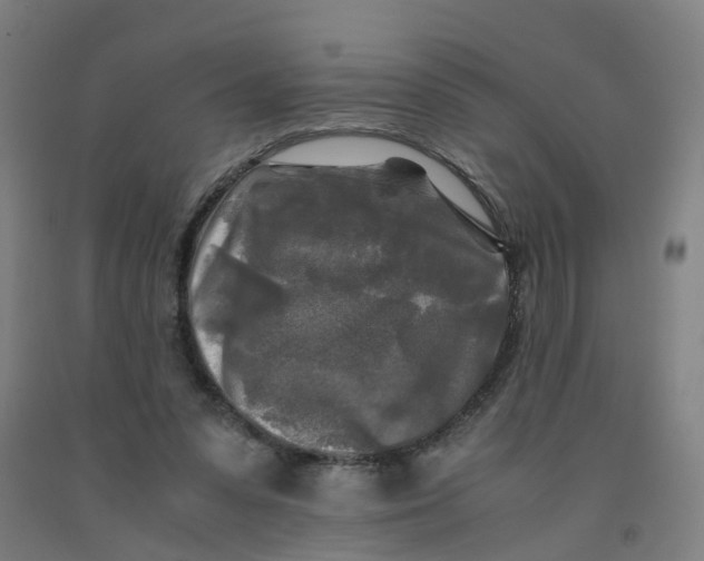 X0000091980303200709271433