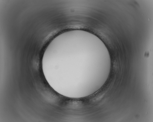 X0000091980304200709271433