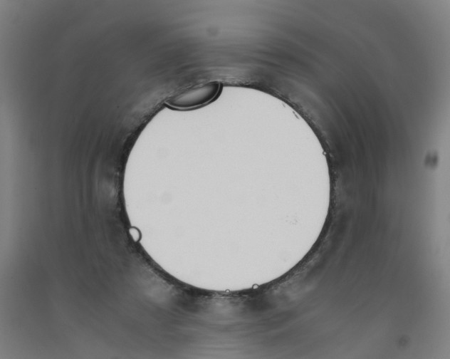 X0000091980305200709271433