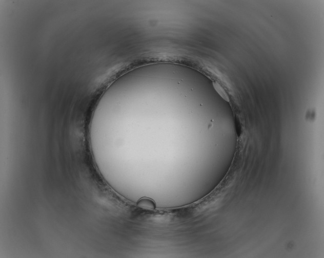 X0000091980306200709271433