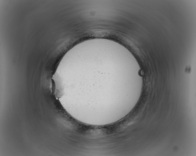 X0000091980307200709271433