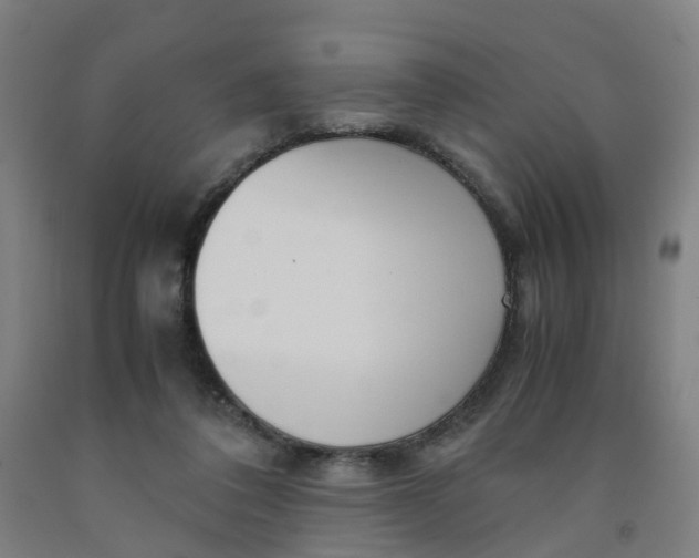 X0000091980308200709271433