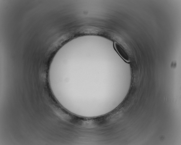 X0000091980309200709271433