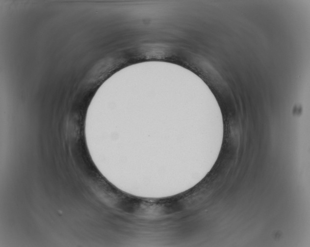 X0000091980311200709271432