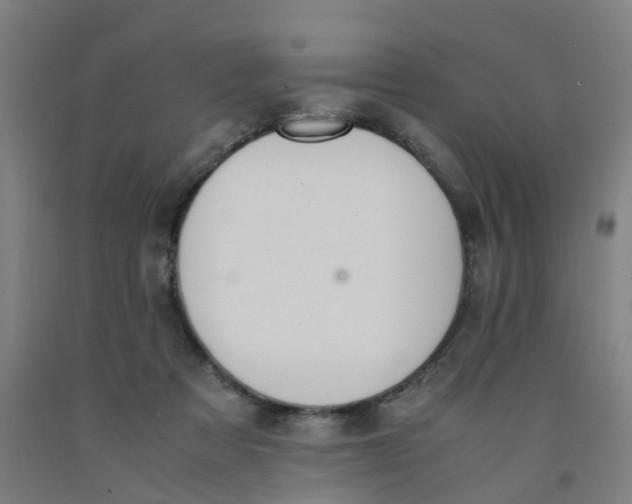 X0000091980313200709271432
