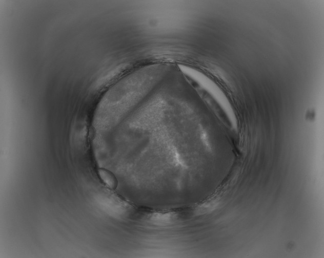 X0000091980314200709271432