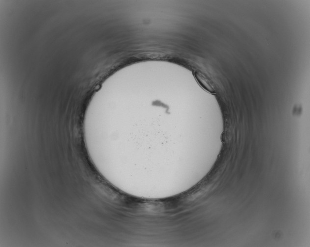 X0000091980317200709271432