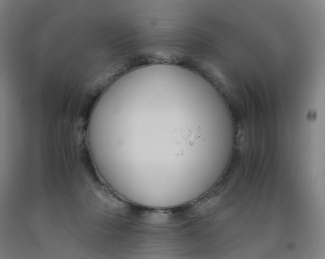 X0000091980318200709271432