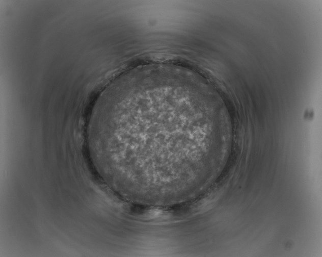 X0000091980319200709271432