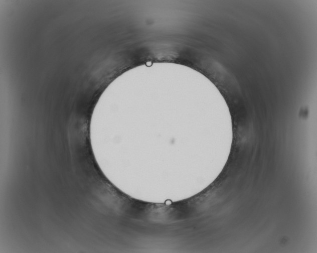 X0000091980321200709271432