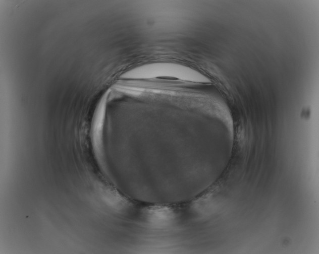 X0000091980322200709271432
