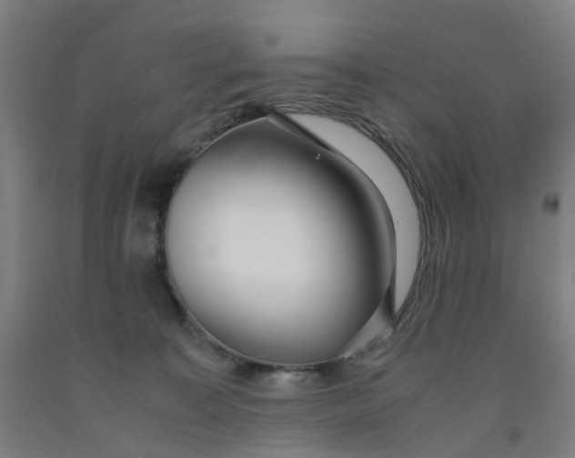 X0000091980323200709271432
