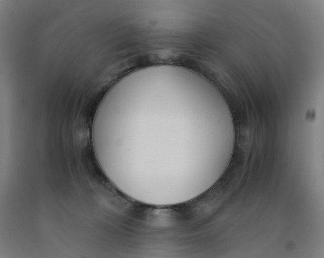 X0000091980324200709271432