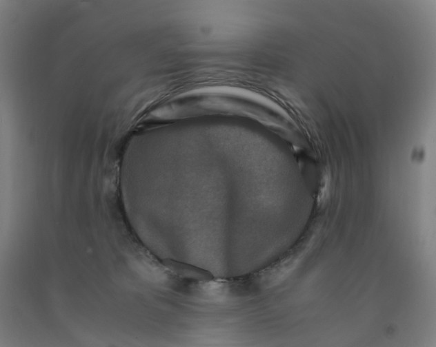 X0000091980325200709271432